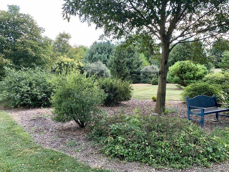 Bench and trees on the Penn State Berks campus