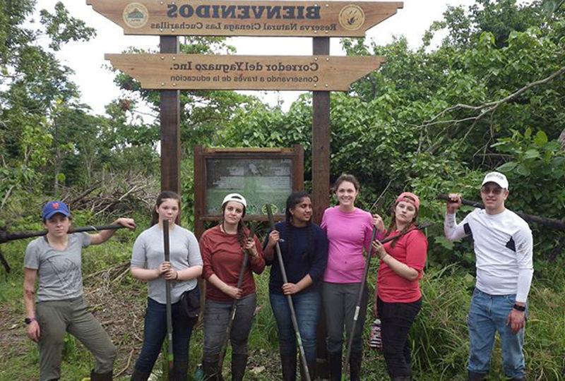 Berks students worked on mangrove preservation in Puerto Rico.
